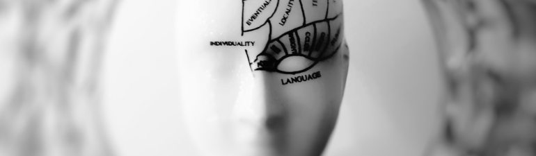 Bust of head with an illustration of the parts of the brain relating to functions